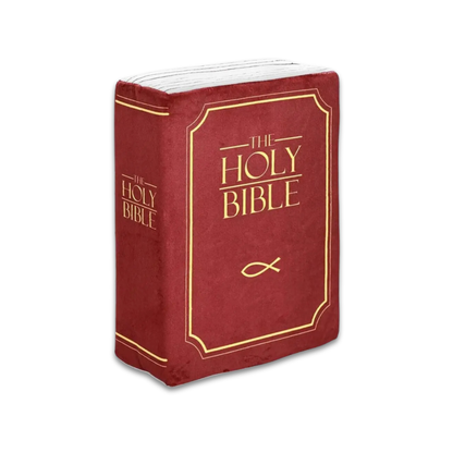 The Bible Pillow