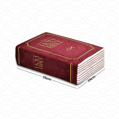 The Bible Pillow